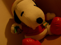 クリスマスの教室の写真