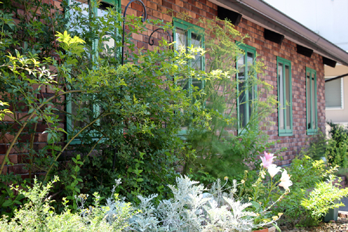 特別レッスンの様子