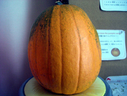 ハロウィン教室の写真