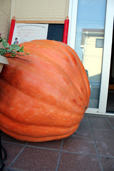 ハロウィンレッスン