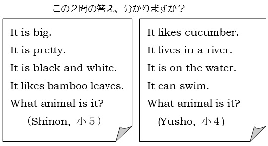 animal quiz: lets try