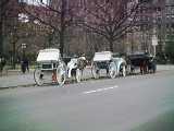 かわいい馬車です