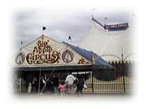 なつかしい感じがしませんか？