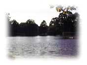 湖に見えるのは実はサッカー場なんです。