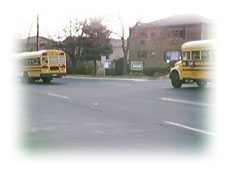 スクールバスが次々ときて渋滞を引き起こします