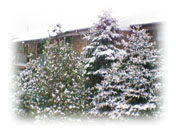 あっという間に銀世界