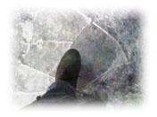 川の上に恐る恐る足を載せましたが・・・